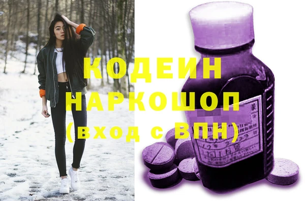 стафф Снежногорск