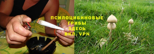 хмурый Снежинск