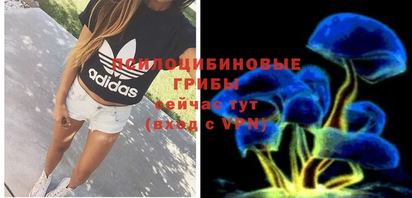 наркотики Белокуриха